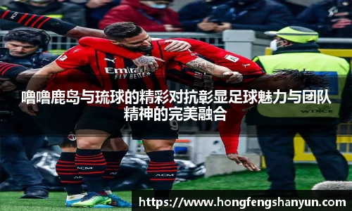 新球体育