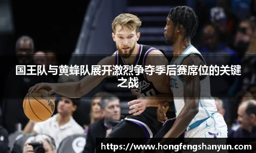 新球体育
